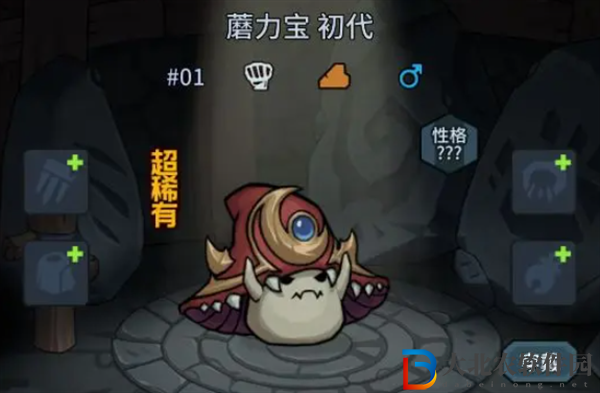 ******
寵物最強(qiáng)陣容
