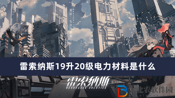 雷索納斯19升20級電力材料是什么