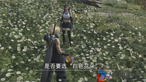 最終幻想7重生山丘上綻放的花任務(wù)怎么做