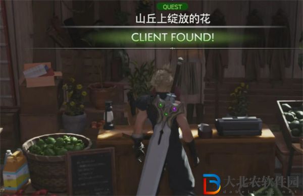 最終幻想7重生山丘上綻放的花任務(wù)怎么做