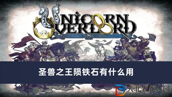 圣獸之王隕鐵石有什么用