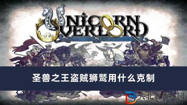 圣獸之王盜賊獅鷲用什么克制