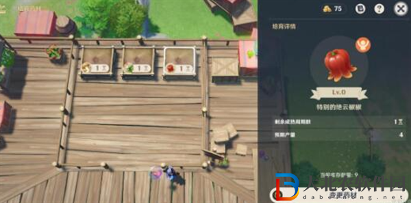 原神升煉研巧萬策金第一天怎么過