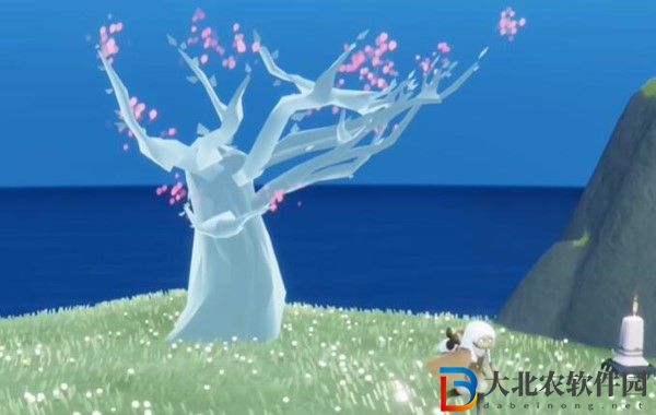 光遇花憩節(jié)什么時(shí)候開始2024