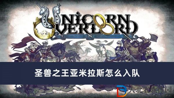圣獸之王亞米拉斯怎么入隊