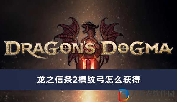 龍之信條2槽紋弓怎么獲得