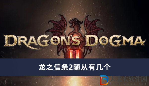 龍之信條2隨從有幾個