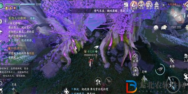 逆水寒手游歸根鐫木遇奇遇怎么完成