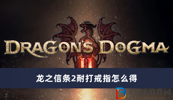 龍之信條2耐打戒指怎么得