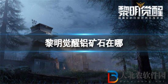 黎明覺醒鋁*
石在哪