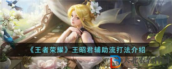王者榮耀王昭君輔助怎么玩