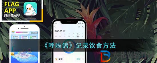 呼啦鴿怎么記錄飲食 呼啦鴿記錄飲食方法