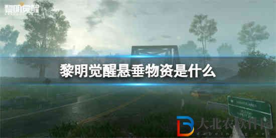 黎明覺(jué)醒懸垂物資是什么