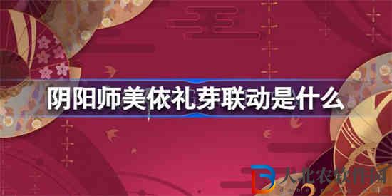 陰陽師美依禮芽聯動是什么