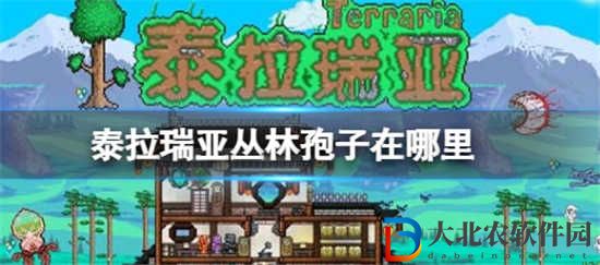 泰拉瑞亞叢林孢子在哪里