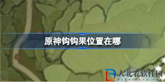 原神鉤鉤果位置在哪