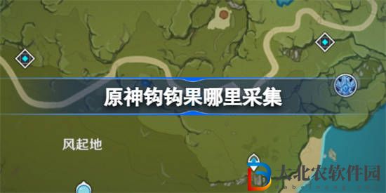 原神鉤鉤果哪里采集