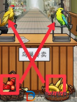 隱秘的檔案鸚鵡怪談通關攻略