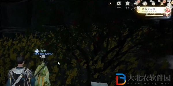射雕手游安石榴怎么獲得