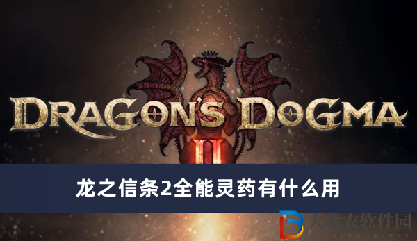 龍之信條2全能靈藥有什么用