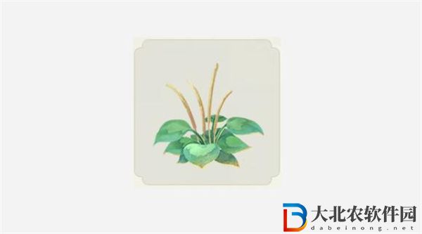 射雕手游東肆夢華錄收集攻略