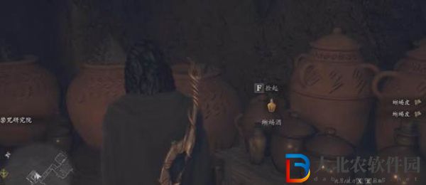 龍之信條2蜥蜴酒獲得方法