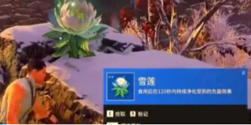 永劫無(wú)間手游雪蓮位置介紹