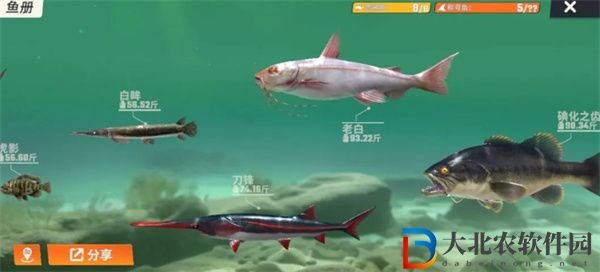 歡樂(lè)釣魚(yú)大師魚(yú)類有哪些