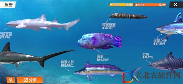 歡樂(lè)釣魚(yú)大師魚(yú)類有哪些