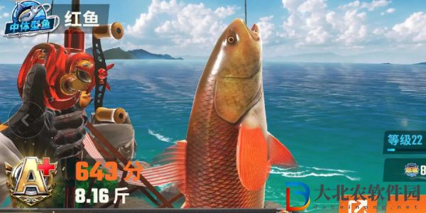 歡樂(lè)釣魚(yú)大師魚(yú)類有哪些