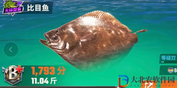 歡樂(lè)釣魚(yú)大師魚(yú)類有哪些