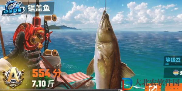 歡樂(lè)釣魚(yú)大師魚(yú)類有哪些