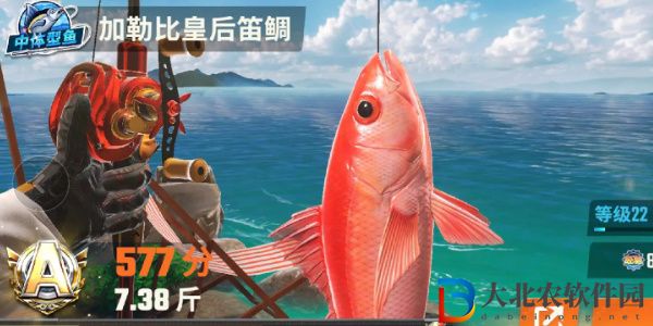 歡樂(lè)釣魚(yú)大師魚(yú)類有哪些