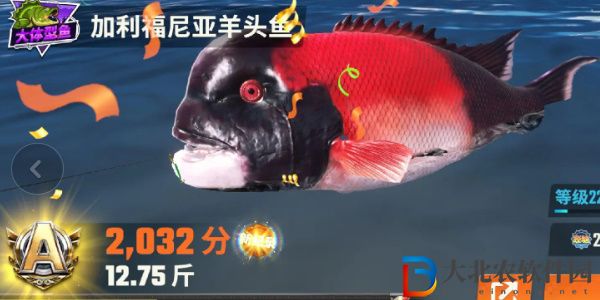 歡樂(lè)釣魚(yú)大師魚(yú)類有哪些