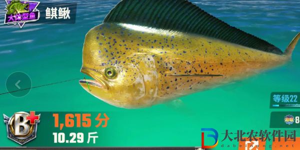 歡樂(lè)釣魚(yú)大師魚(yú)類有哪些