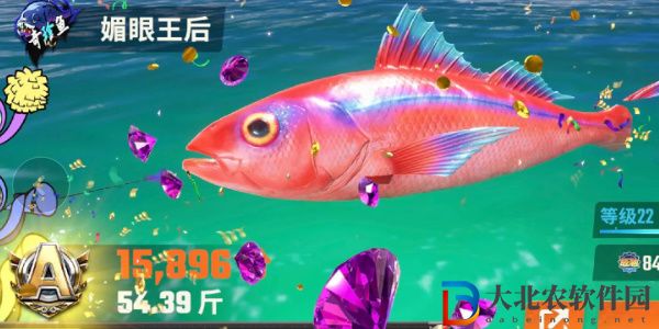 歡樂(lè)釣魚(yú)大師魚(yú)類有哪些