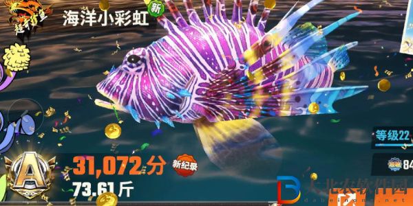 歡樂(lè)釣魚(yú)大師魚(yú)類有哪些