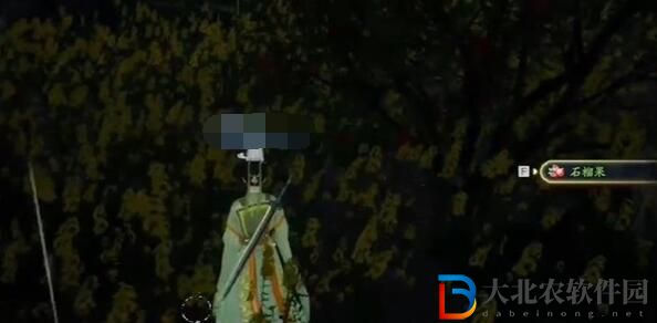 射雕手游安石榴位置介紹