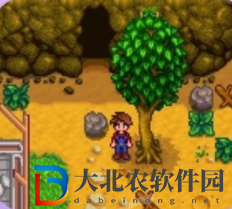星露谷物語農(nóng)場山洞怎么玩
