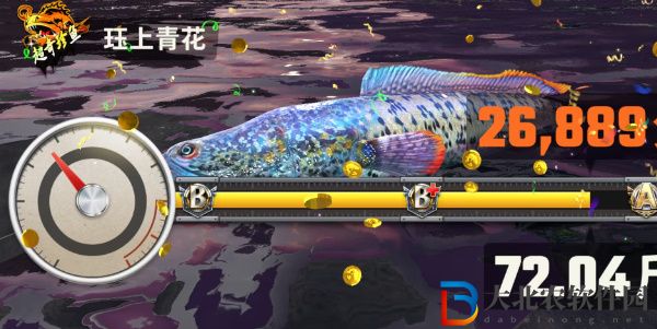 歡樂釣魚大師玨上青花釣魚技巧