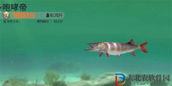 歡樂釣魚大師咆哮帝釣魚技巧