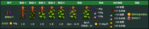 星露谷物語(yǔ)秘密紙條5解析