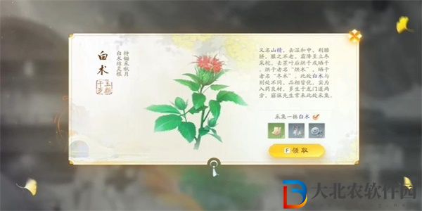 射雕手游白術收集方法