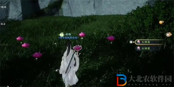 射雕手游蝴蝶雛菊收集方法