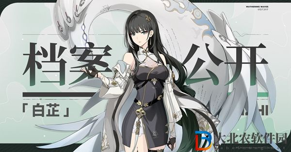 鳴潮白芷立繪圖片