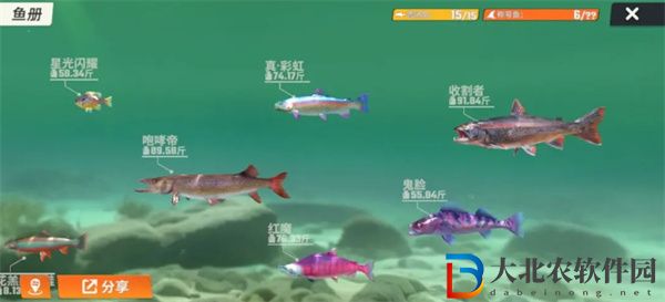 歡樂釣魚大師魚類圖鑒大全