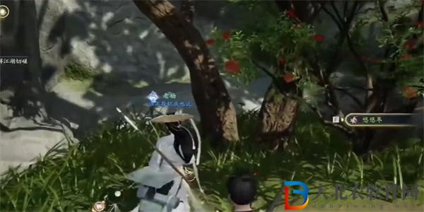 射雕手游棗子飴怎么收集