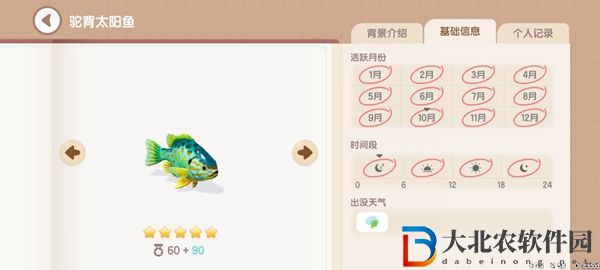 心動小鎮釣魚圖鑒有哪些