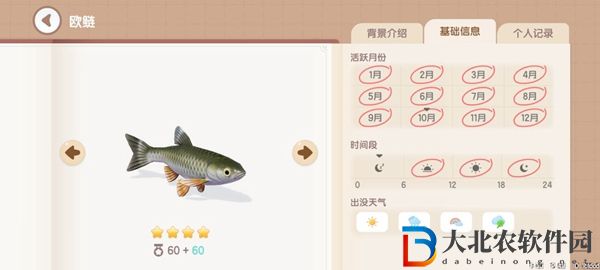 心動小鎮釣魚圖鑒有哪些