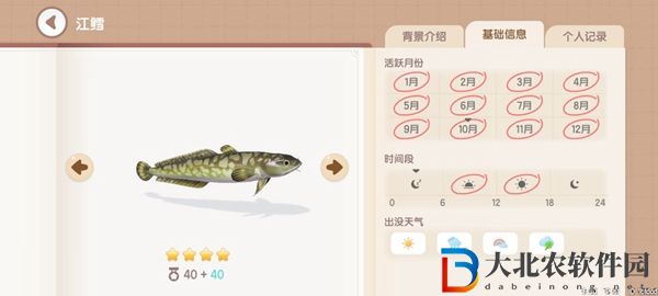 心動小鎮釣魚圖鑒有哪些